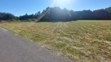 Działka Ślesin, Szyszyńskie Holendry