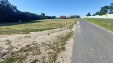 Działka Ślesin, Szyszyńskie Holendry