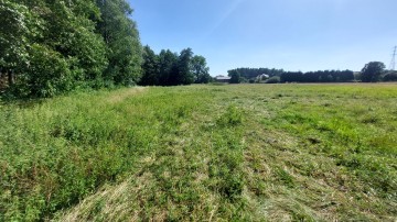 Działka Ślesin, Szyszyńskie Holendry