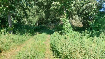 Działka Ślesin, Szyszyńskie Holendry