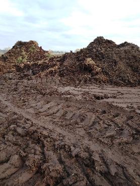 Sprzedam obornik bydlęcy