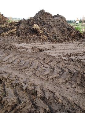 Sprzedam obornik bydlęcy