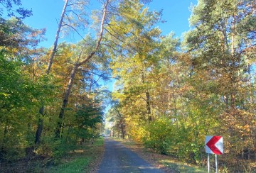 Działka budowlana na sprzedaż Nowe Paprockie Holendry