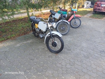 Jawka Kaczka Mustang