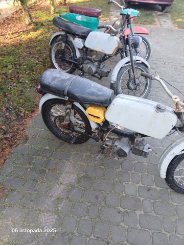 Jawka Kaczka Mustang