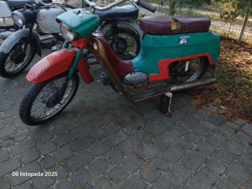 Jawka Kaczka Mustang