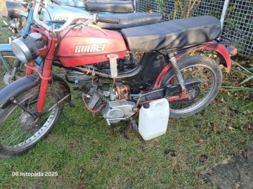 Jawka Kaczka Mustang