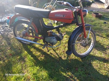 Jawka Kaczka Mustang