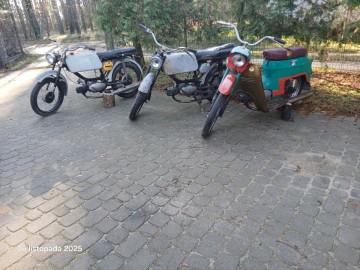 Jawka Kaczka Mustang