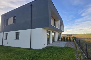 sprzedaż - rezerwacja BLIŹniak&oacute;w w Piotrowicach koło Słupcy