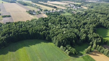 DZIAŁKA Z POTĘCJAŁEM BUDOWLANA 11 AR CAŁOŚĆ MA 87AR