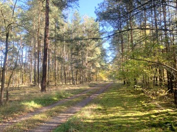 Działka na sprzedaż Nowo Paprockie Holendry gm Krzym&oacute;w