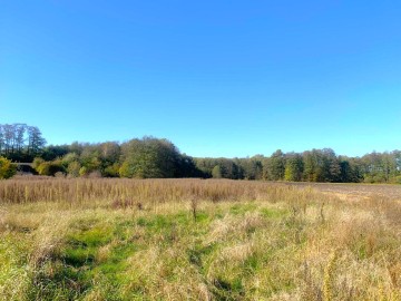 Działka na sprzedaż Nowo Paprockie Holendry gm Krzym&oacute;w