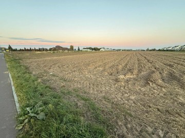 Teren inwestycyjny 0,72 ha &ndash; Piotrowice k. Słupcy