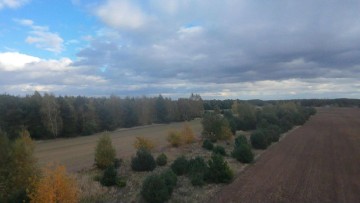 DZIAŁKA BUDOWLANO-INWESTYCYJNA J&oacute;zefowo, gmina Słupca