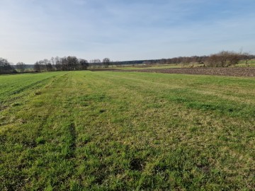 Działki rolne - Biskupice, gm. Grodziec kl. IV,V