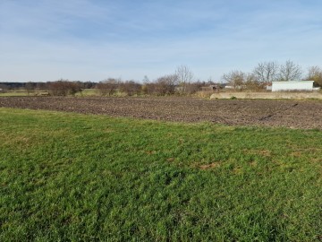 Działki rolne - Biskupice, gm. Grodziec kl. IV,V