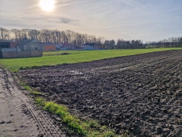 Działki rolne - Biskupice, gm. Grodziec kl. IV,V