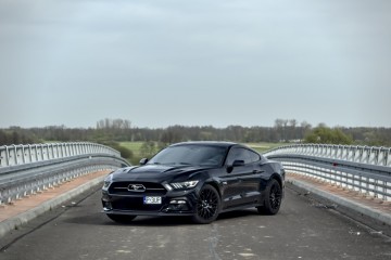 Ford Mustang GT 2015 Performance Pack 50th