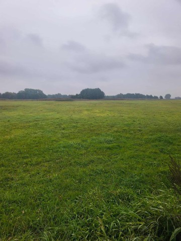 DWIE ŁĄKI W MIEJSCOWOŚCI LĄDEK, GMINA LĄDEK