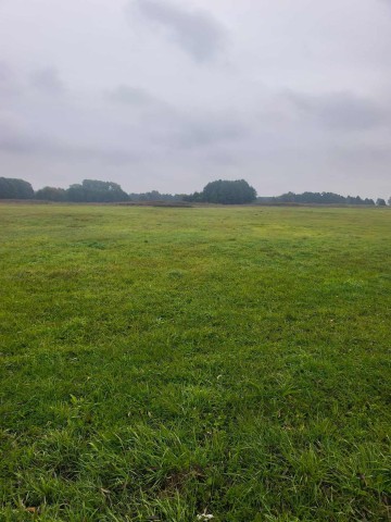 DWIE ŁĄKI W MIEJSCOWOŚCI LĄDEK, GMINA LĄDEK