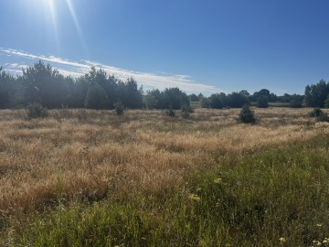 Działki budowlane – Trzęśniew, nr 523 i 524