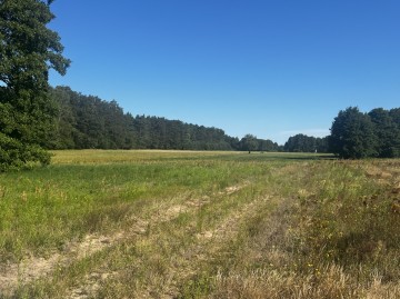 Działki budowlane – Trzęśniew, nr 523 i 524