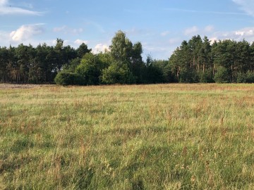 Działki budowlane – Trzęśniew, nr 523 i 524