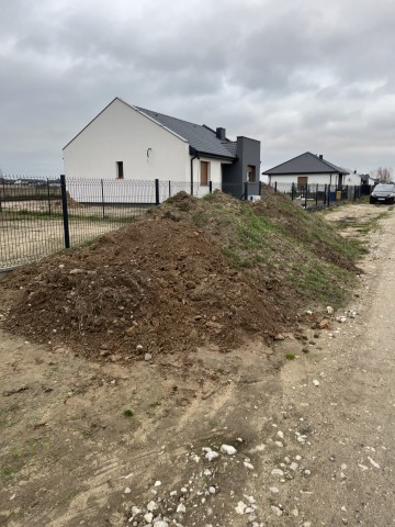 Oddam ziemnie za darmo