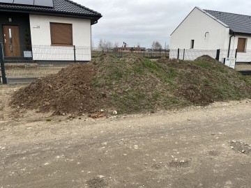 Oddam ziemnie za darmo