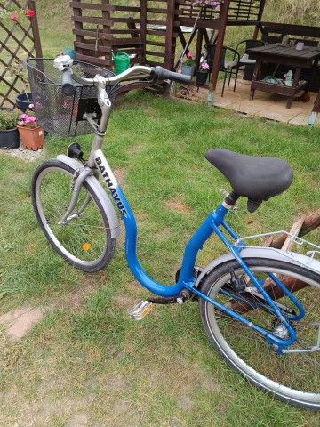 rowery damki łabędzie koła 26