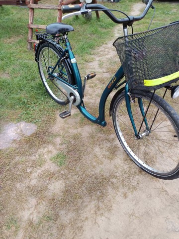 rowery damki łabędzie koła 26