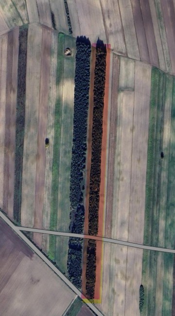 Sprzedam działkę leśna