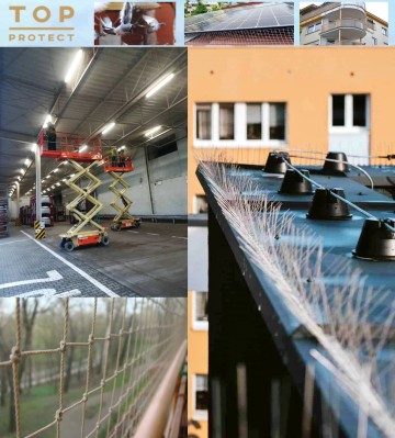 Top Protect - skuteczna ochrona budynk&oacute;w przed ptakami