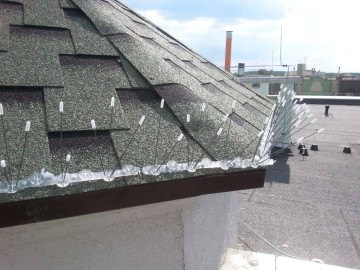 Top Protect - skuteczna ochrona budynk&oacute;w przed ptakami