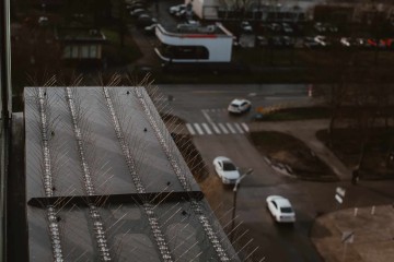 Top Protect - skuteczna ochrona budynk&oacute;w przed ptakami