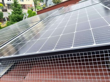 Top Protect - skuteczna ochrona budynk&oacute;w przed ptakami