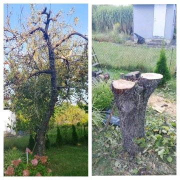 Usługi ogrodnicze 2026 szeroki zakres usług