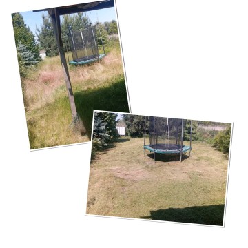 Usługi ogrodnicze 2026 szeroki zakres usług