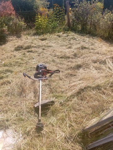 Usługi ogrodnicze 2026 szeroki zakres usług