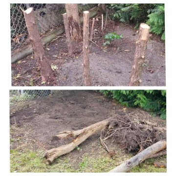 Usługi ogrodnicze 2026 i inne. Atrakcyjne ceny