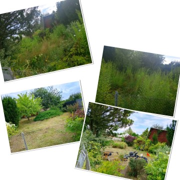 Usługi ogrodnicze 2026 i inne. Atrakcyjne ceny