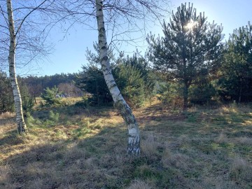 Działki budowlanena sprzedaż Olimpia gm. Brudzew