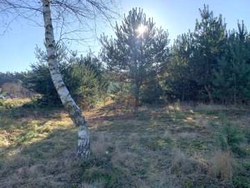 Działki budowlanena sprzedaż Olimpia gm. Brudzew