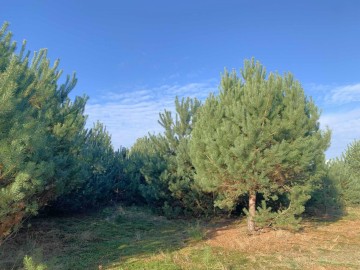 Działki budowlanena sprzedaż Olimpia gm. Brudzew