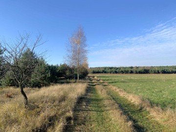 Działki budowlane na sprzedaż Olimpia gn Brudzew