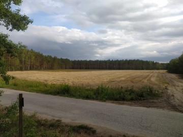 Działka, Działki budowlane gm. Rzg&oacute;w J&oacute;zefowo, Konin