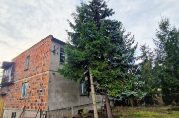 Okazja!Działka z domem (20 ar) Wilk&oacute;w