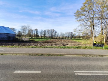 DZIAŁKA 55 ar&oacute;w