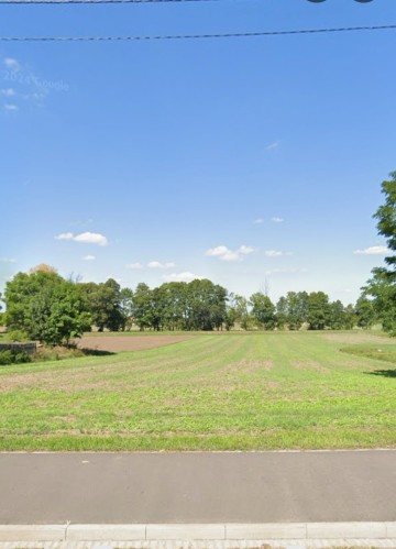 DZIAŁKA 55 ar&oacute;w